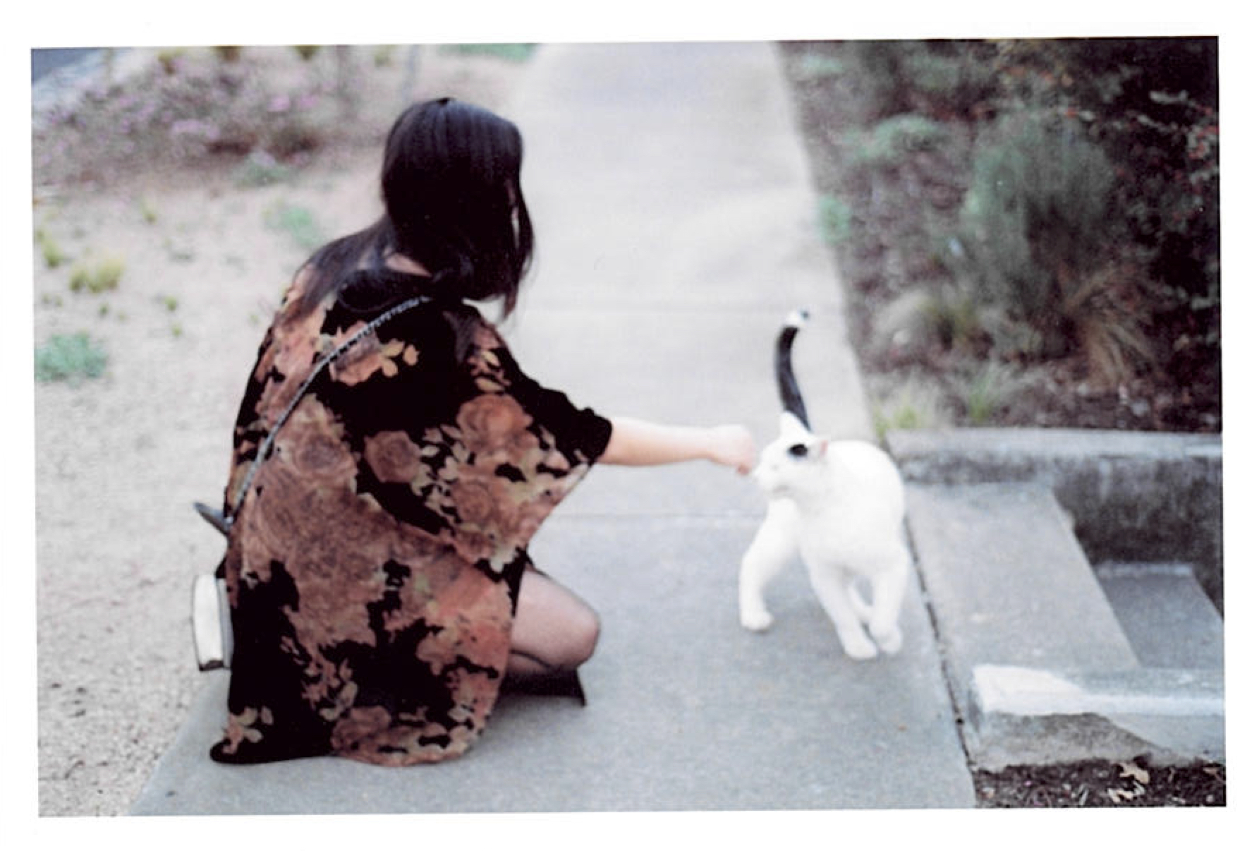 a girl, a cat