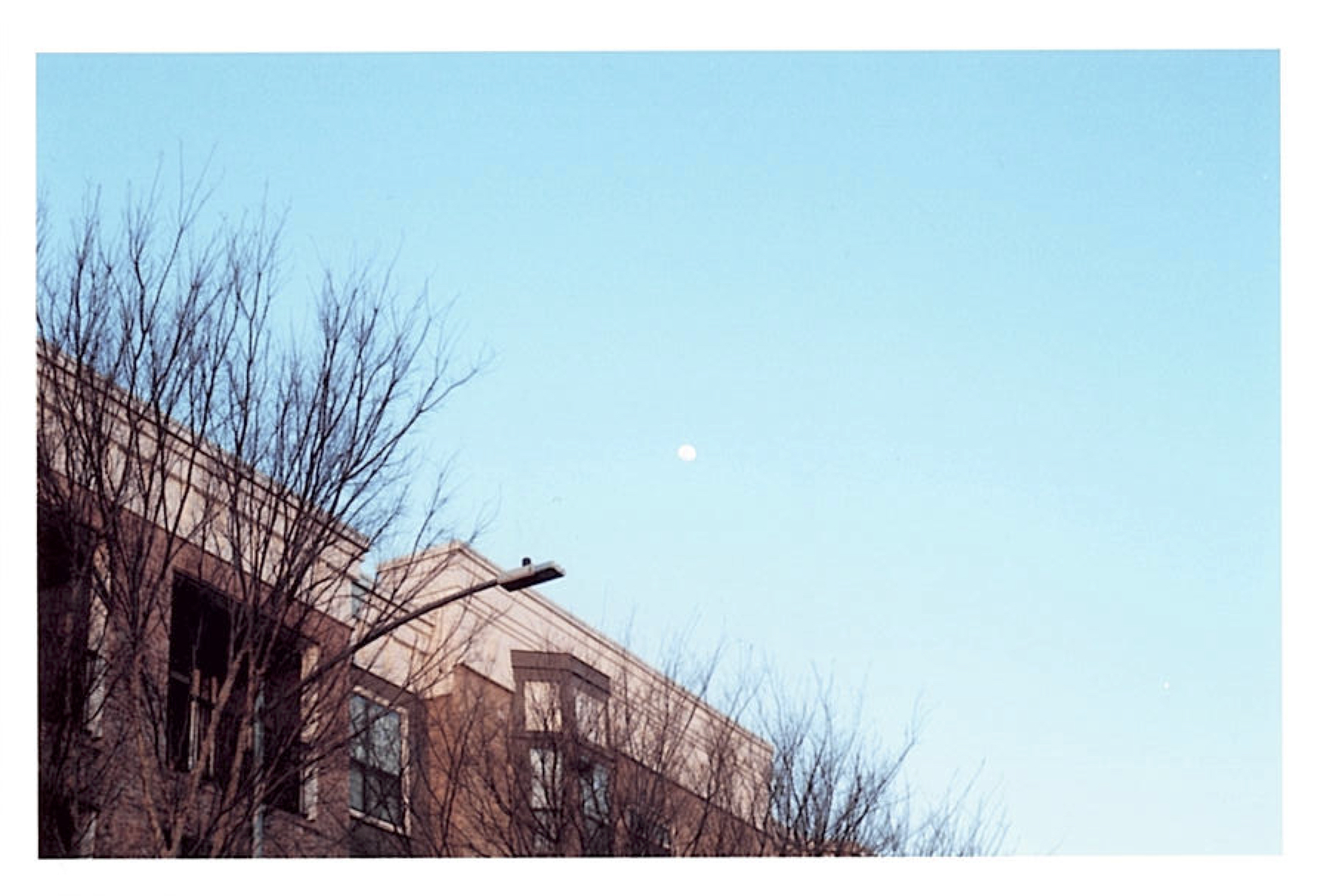 the moon