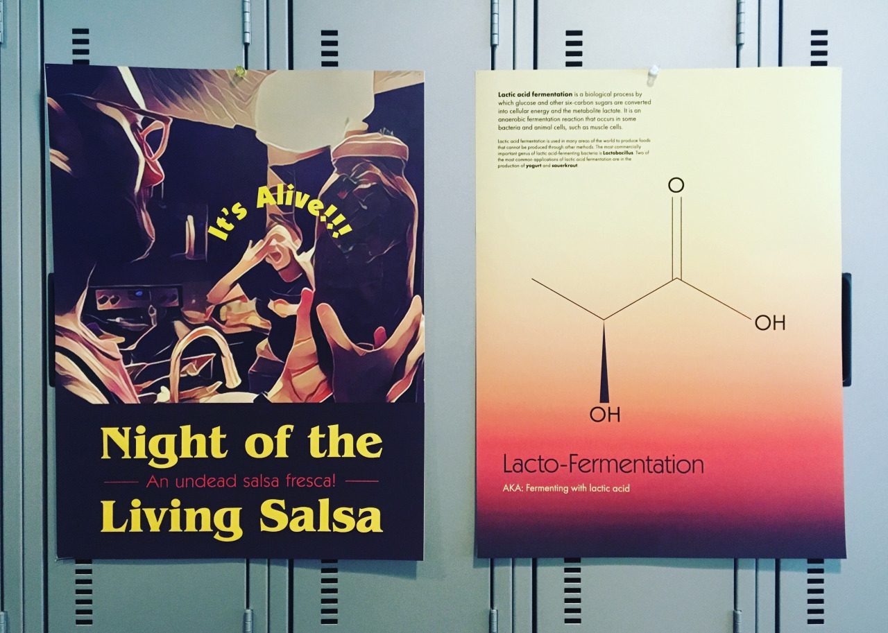 lacto fermented salsa